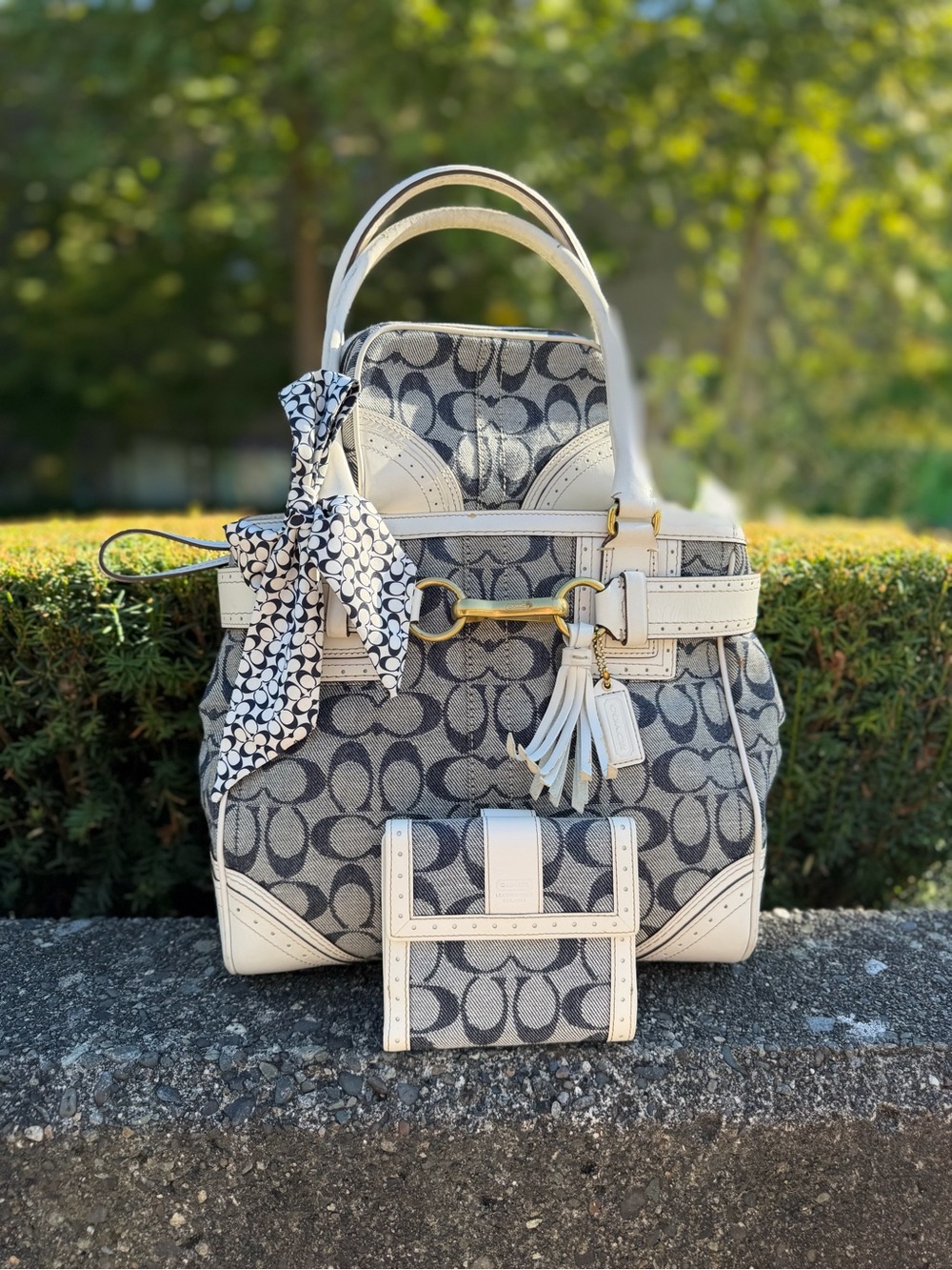 Coach Wallet + Pouch Signature Denim Canvas Hampton Satchel 10507
